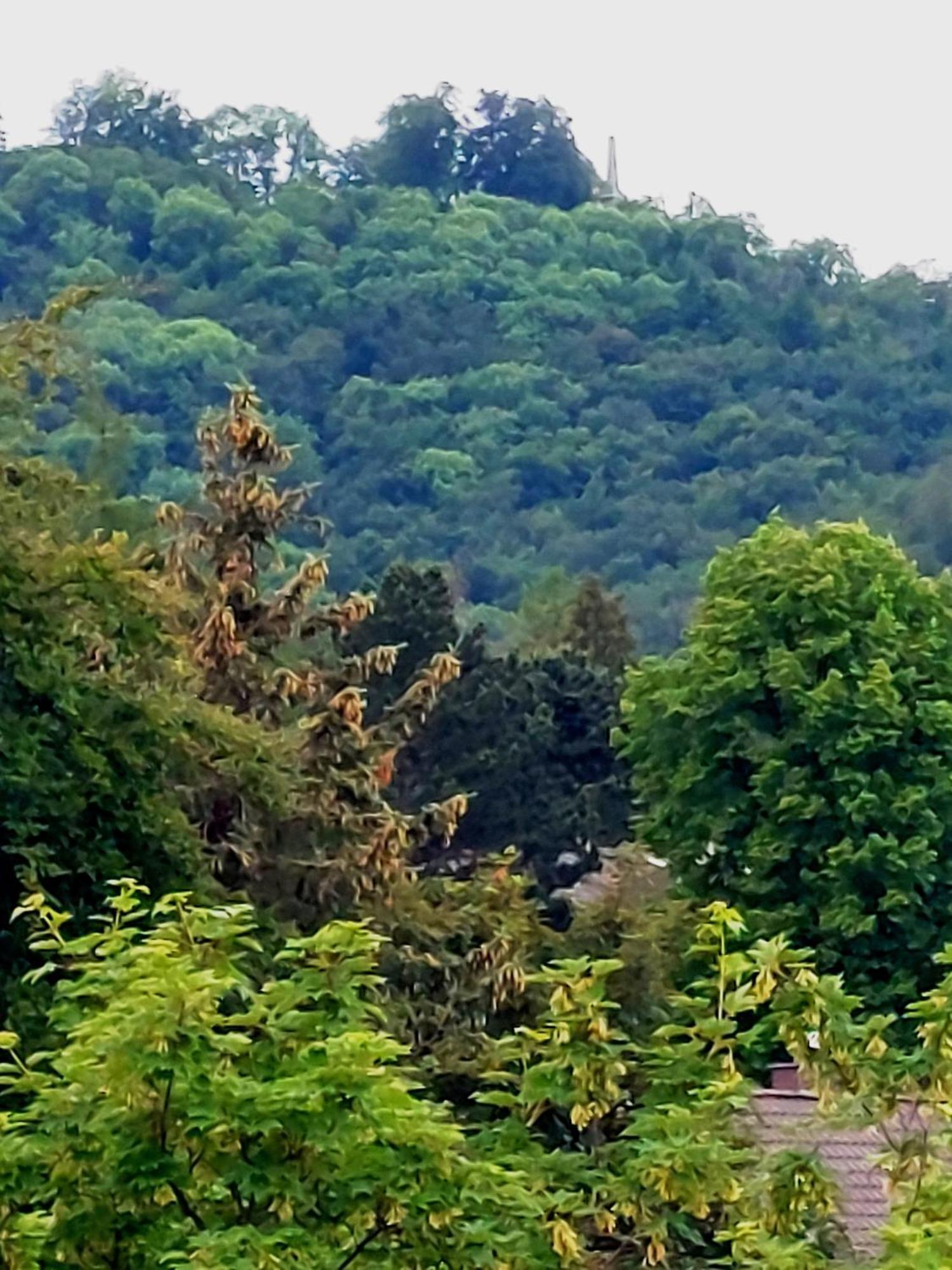 Burgberg-Blick Daire Bad Harzburg Dış mekan fotoğraf