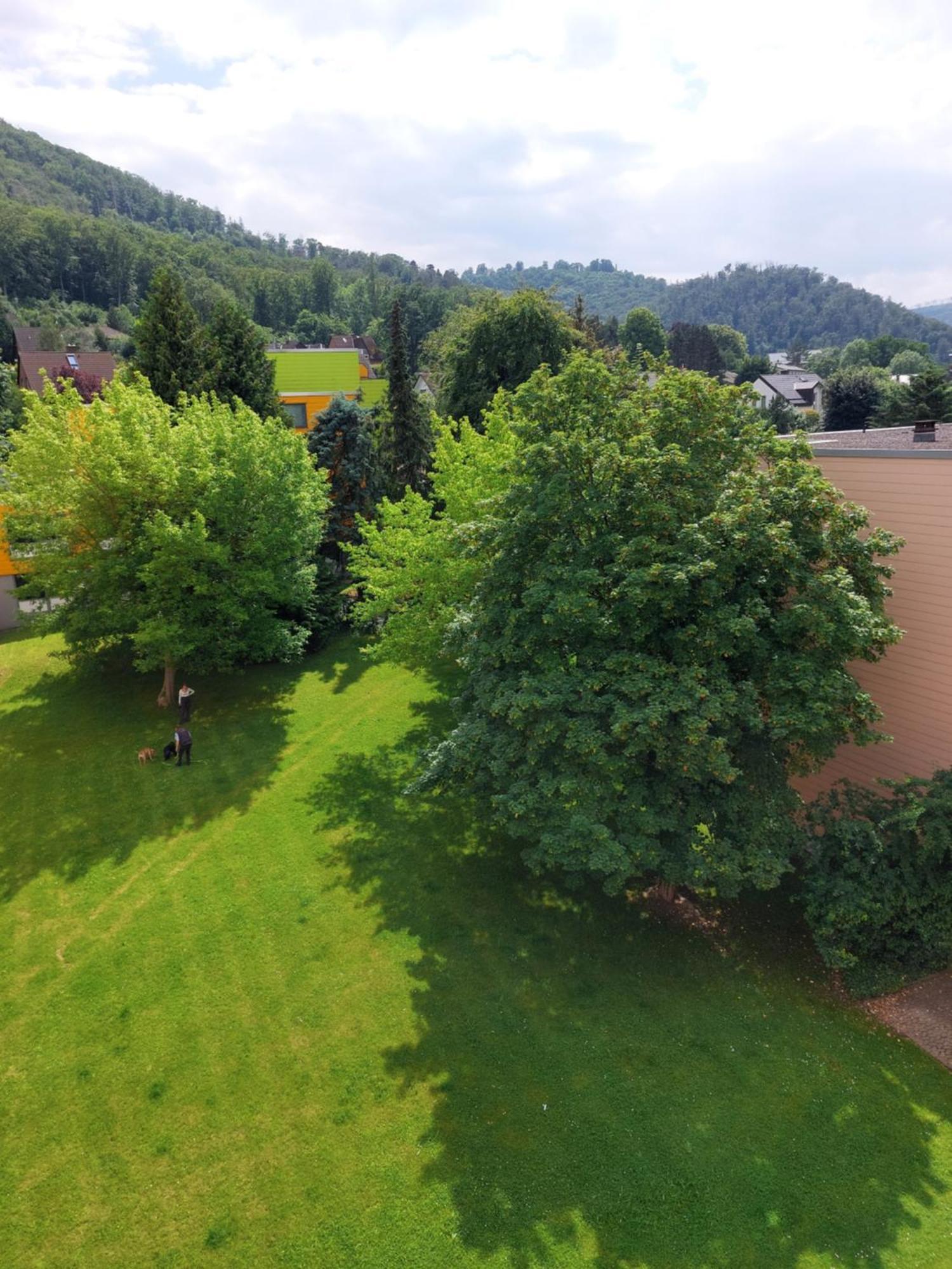 Burgberg-Blick Daire Bad Harzburg Dış mekan fotoğraf